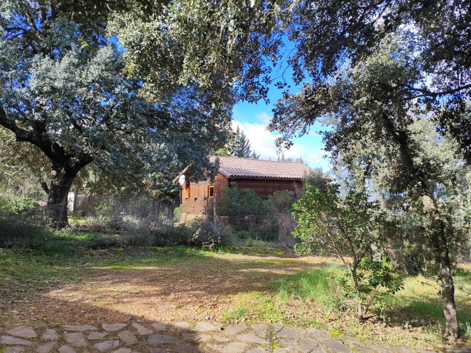 Nuevo Ecolodge Cabaneros Retuerta de Bullaque Eksteriør billede