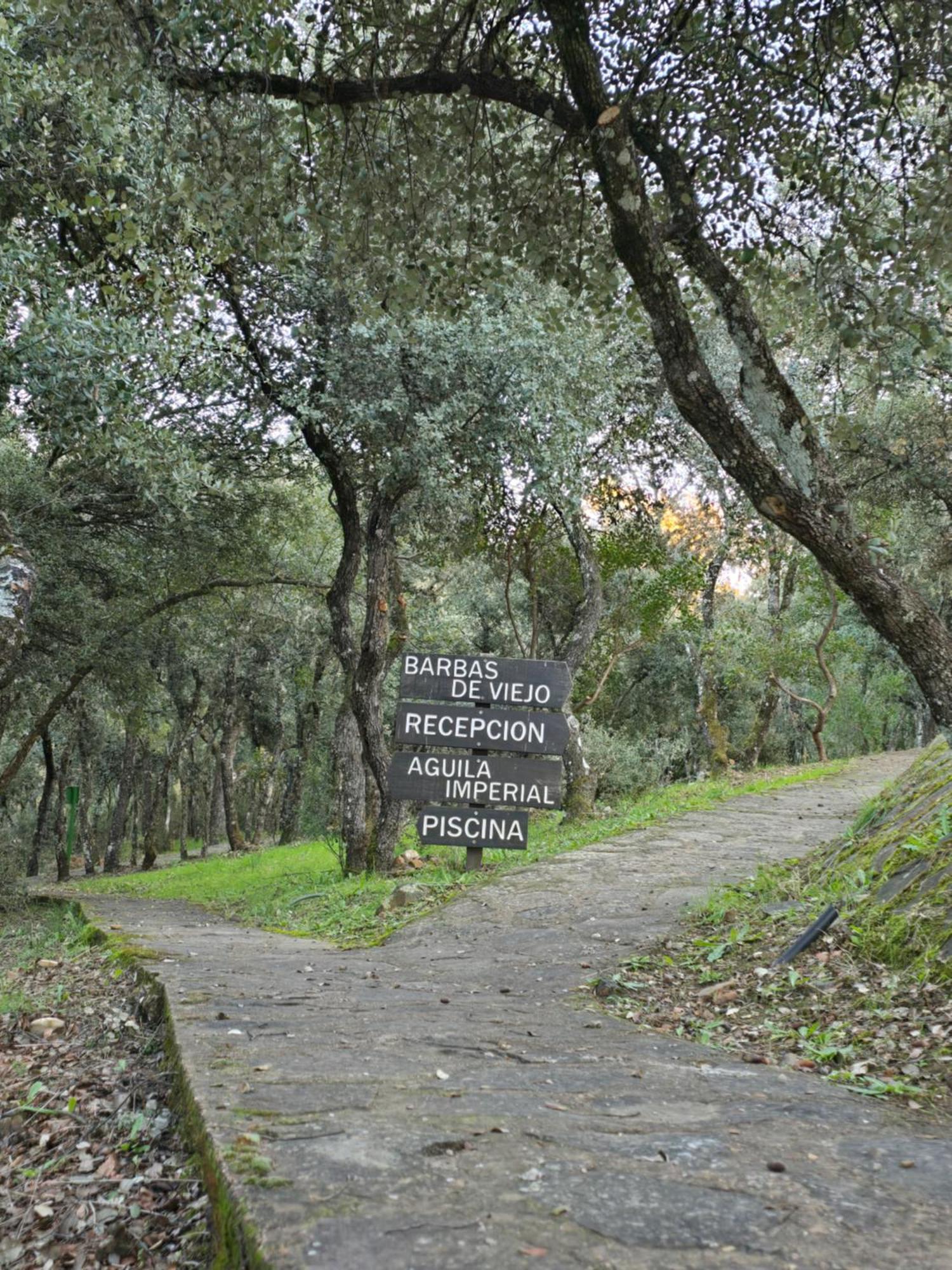 Nuevo Ecolodge Cabaneros Retuerta de Bullaque Eksteriør billede