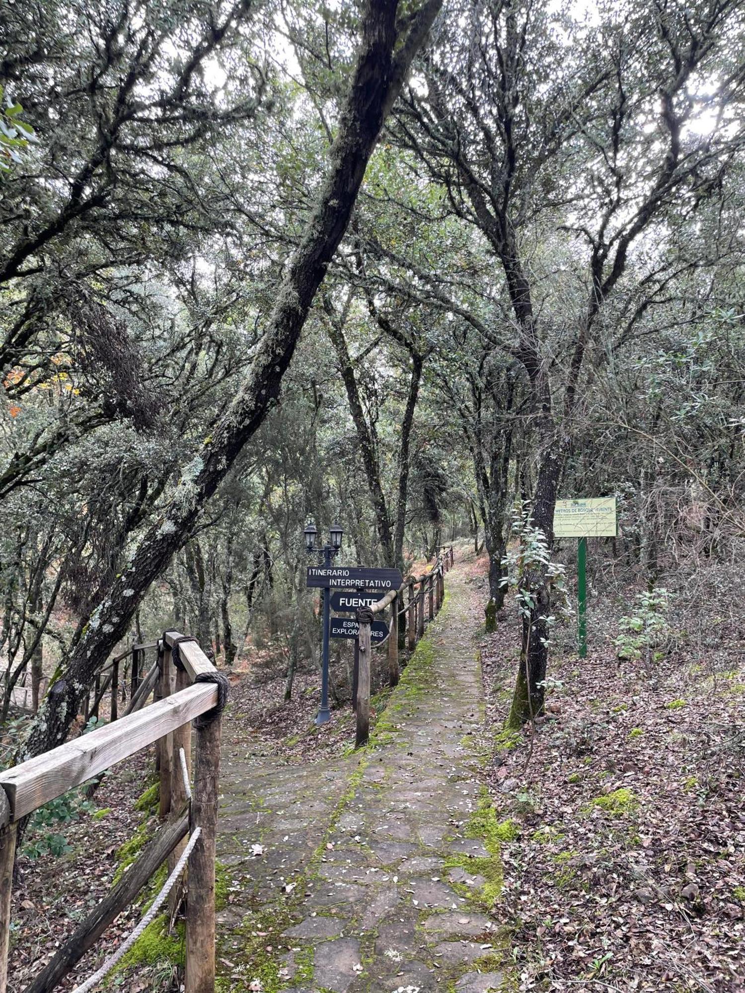 Nuevo Ecolodge Cabaneros Retuerta de Bullaque Eksteriør billede