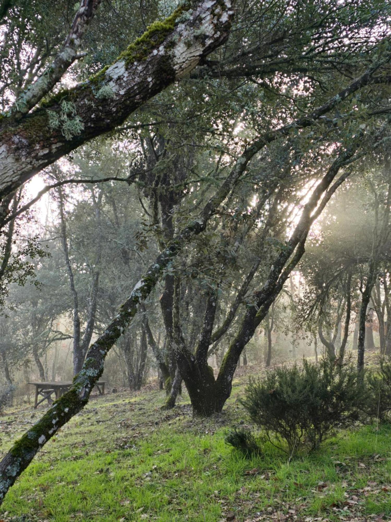 Nuevo Ecolodge Cabaneros Retuerta de Bullaque Eksteriør billede