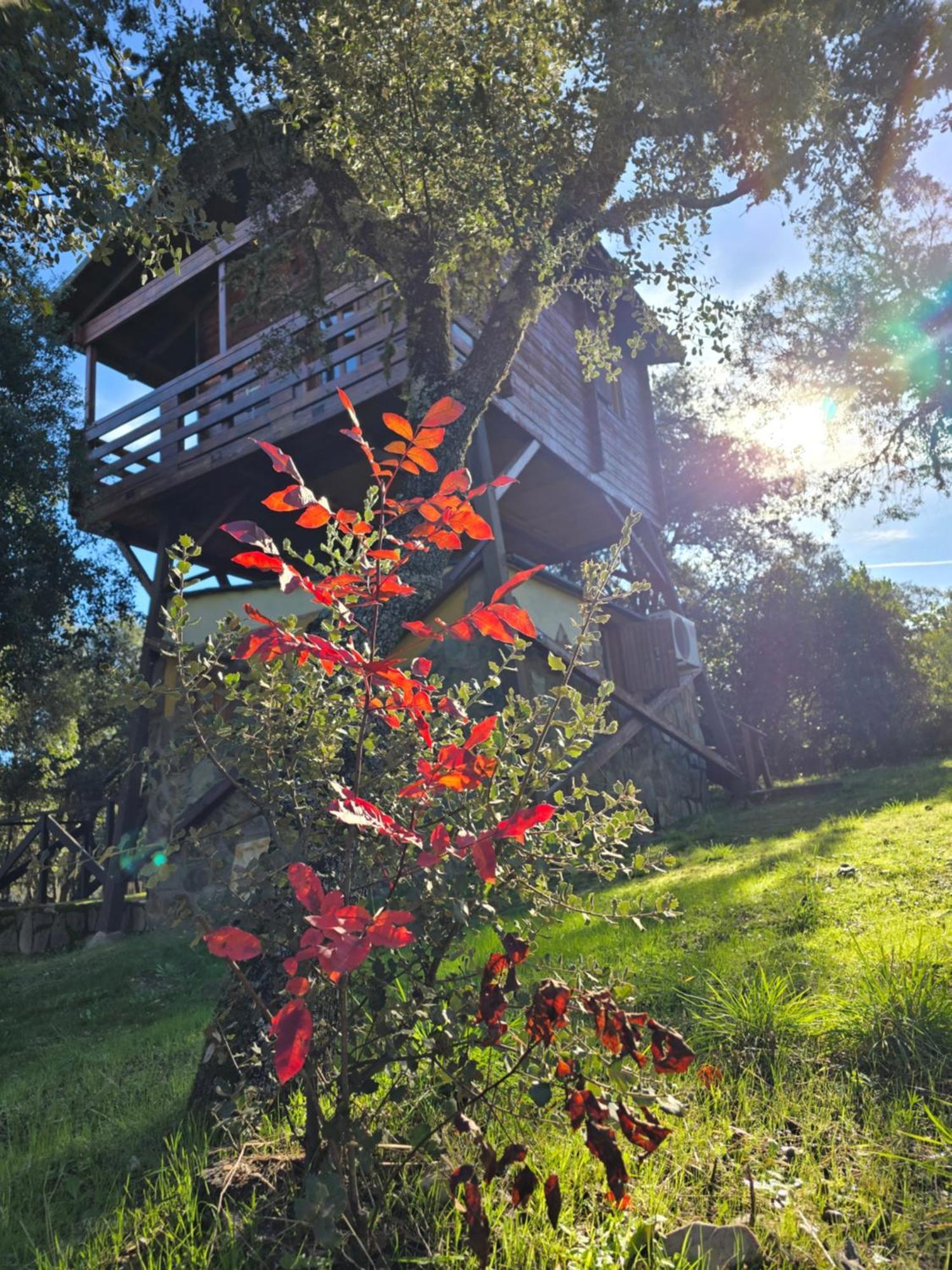 Nuevo Ecolodge Cabaneros Retuerta de Bullaque Eksteriør billede
